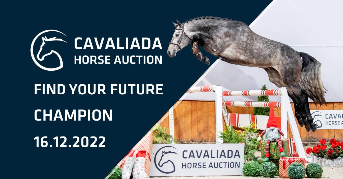 CAVALIADA Horse Auction 2022 katalog koni